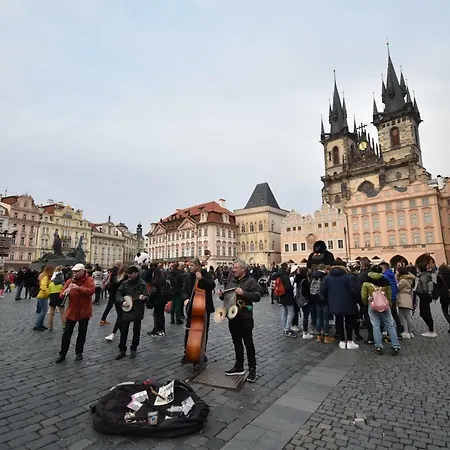 The Old Town 